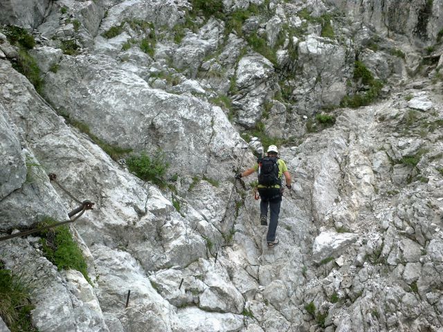 Slovenska pot proti Kranjski koči na Ledinah