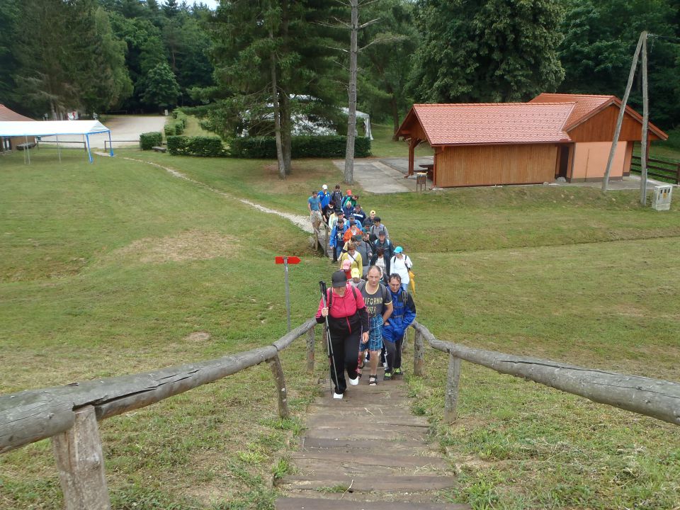 20150619 VDC po Bukovniškem gozdu - foto povečava