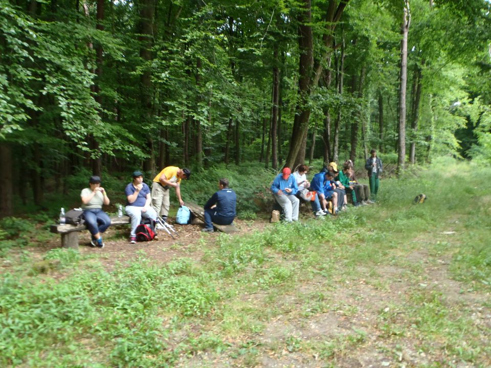 20150619 VDC po Bukovniškem gozdu - foto povečava