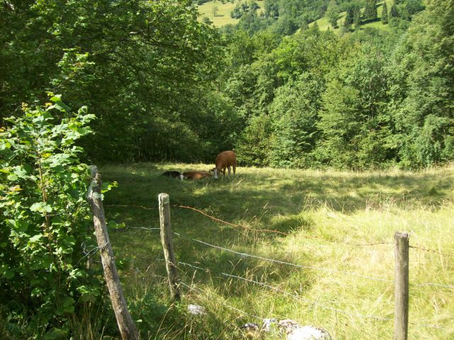 20150627 Javorca in korita Tolminke - foto