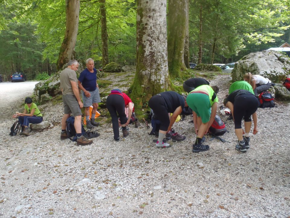 20150704 Komarča p.Viševnik Ovčarija Štapce  - foto povečava