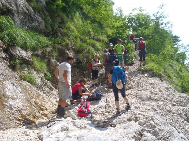 20150704 Komarča p.Viševnik Ovčarija Štapce  - foto