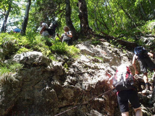 20150704 Komarča p.Viševnik Ovčarija Štapce  - foto