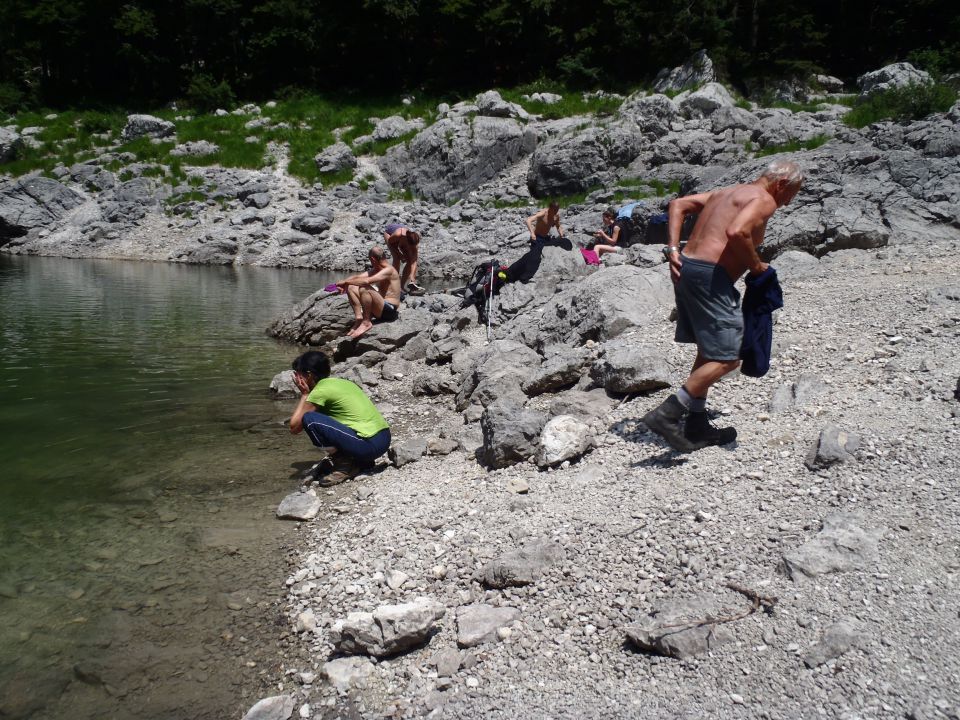 20150704 Komarča p.Viševnik Ovčarija Štapce  - foto povečava