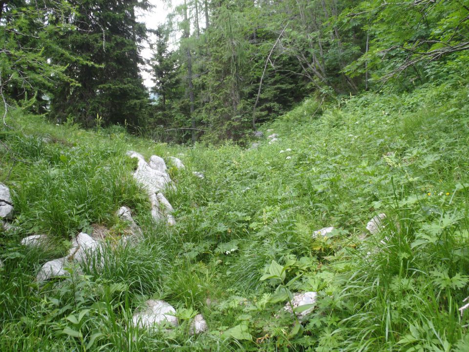 20150704 Komarča p.Viševnik Ovčarija Štapce  - foto povečava