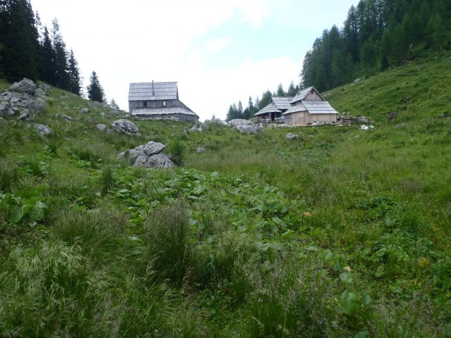 Planina Viševnik.