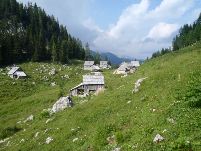 Nazaj na planini Viševnik.