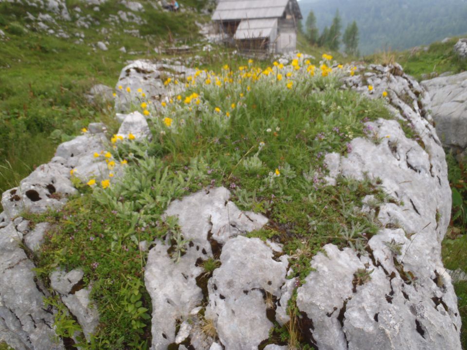 Planina Ovčarija.