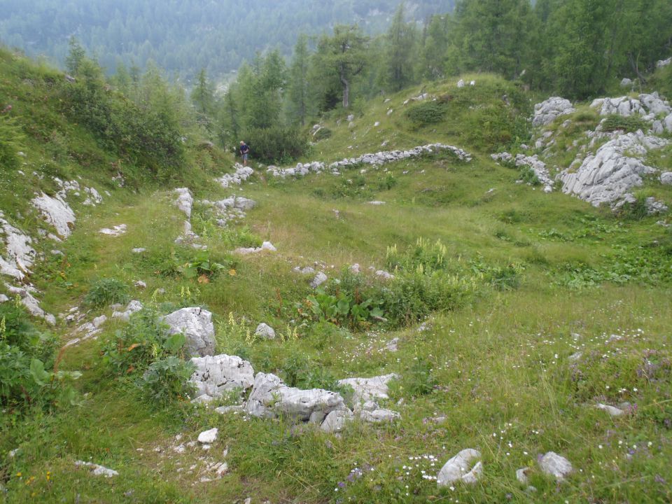 20150704 Komarča p.Viševnik Ovčarija Štapce  - foto povečava