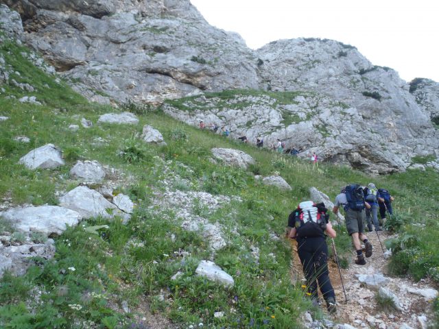 20150705 Sedm.Tičarici-Kopica Zelnarici Blato - foto