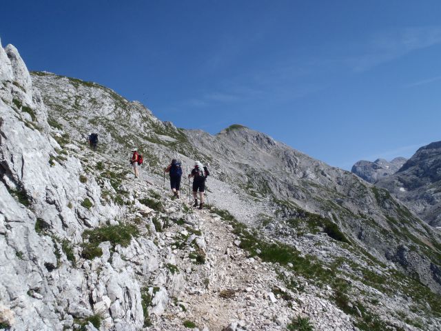 20150705 Sedm.Tičarici-Kopica Zelnarici Blato - foto