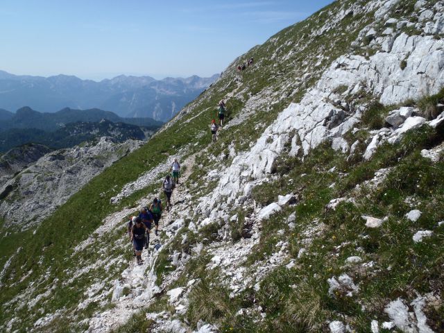 20150705 Sedm.Tičarici-Kopica Zelnarici Blato - foto