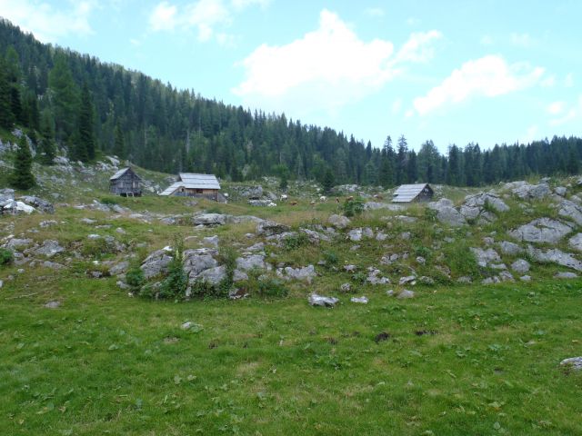 20150705 Sedm.Tičarici-Kopica Zelnarici Blato - foto