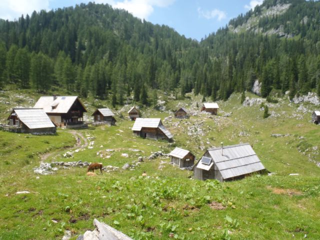 20150705 Sedm.Tičarici-Kopica Zelnarici Blato - foto