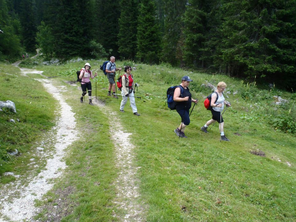 20150705 Sedm.Tičarici-Kopica Zelnarici Blato - foto povečava