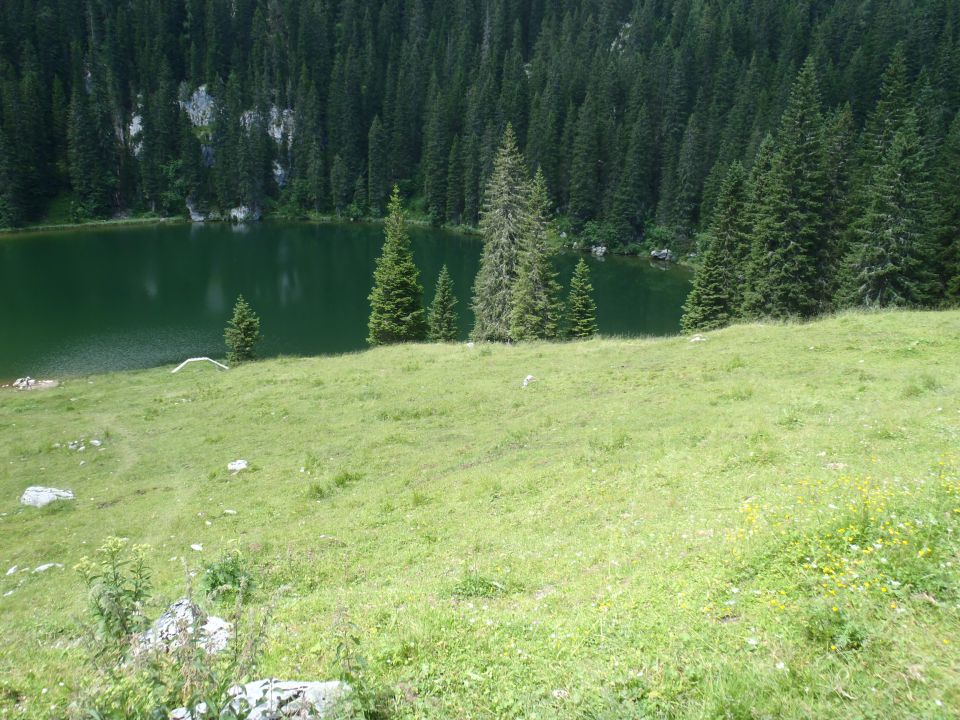 20150705 Sedm.Tičarici-Kopica Zelnarici Blato - foto povečava