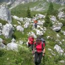 Pot proti Planini Bala