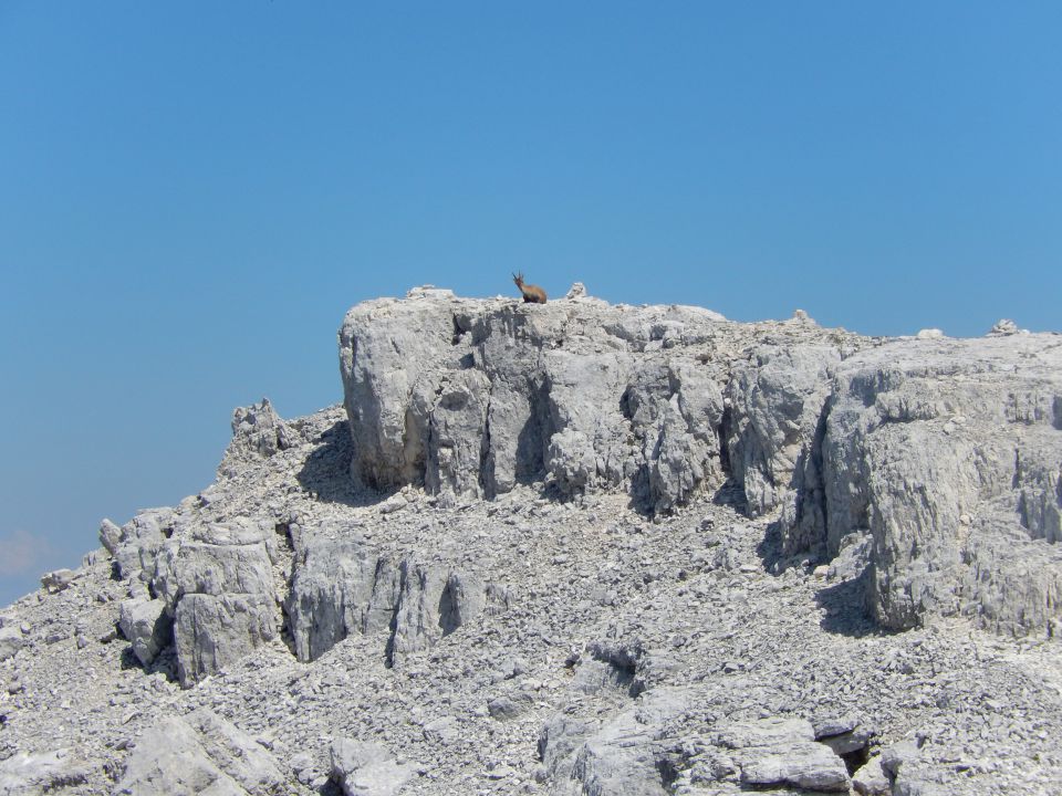 20150707 Viš (po plezalni poti Anita Goitan) - foto povečava