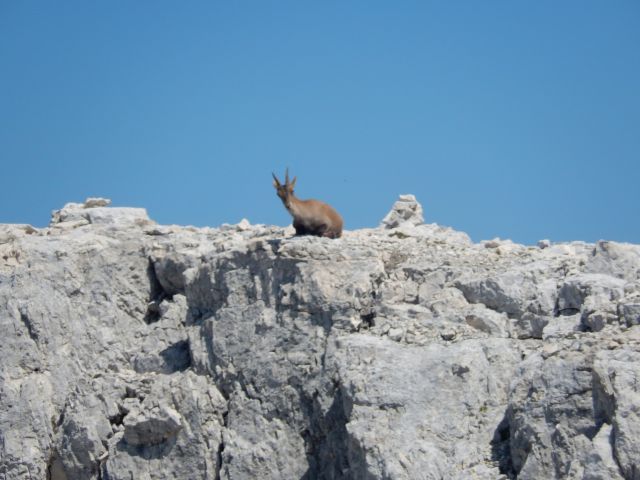 20150707 Viš (po plezalni poti Anita Goitan) - foto