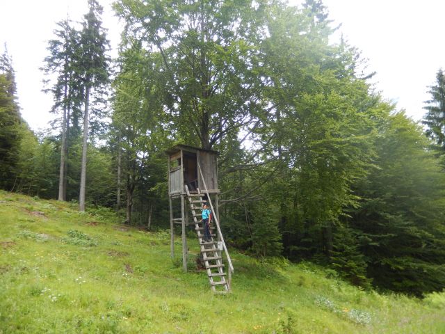 Lovska opazovalnica ob poti