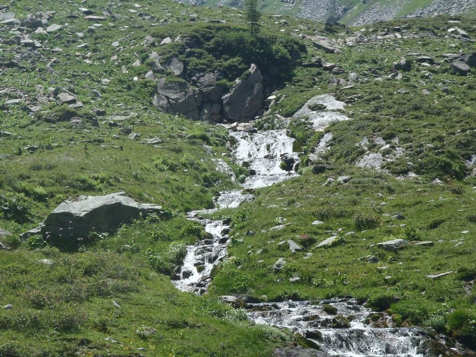 20150718 Izvir Mure s KS Lipa - foto povečava