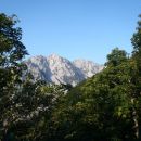 Begunjščica.