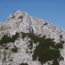 Pogled nazaj - vrh.