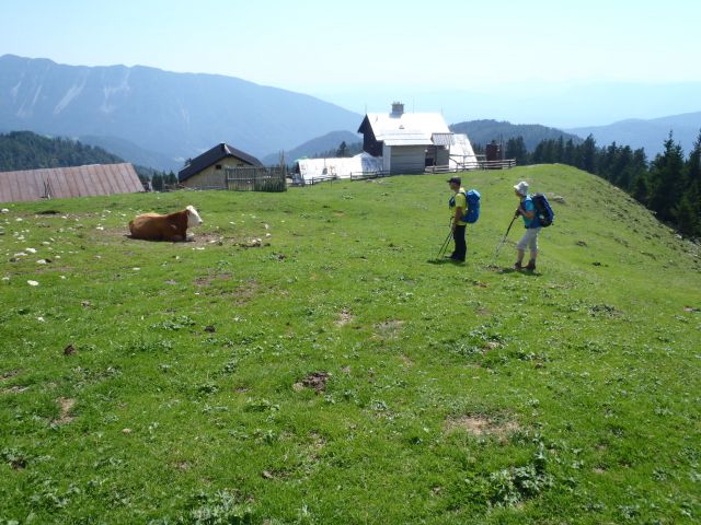 20150809 Ljubelj-Košutica-Vel.vrh-Kofce - foto