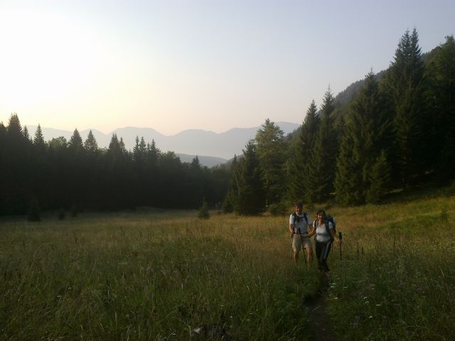 Pot čez Planino Spodnja Grintovica (1175m)