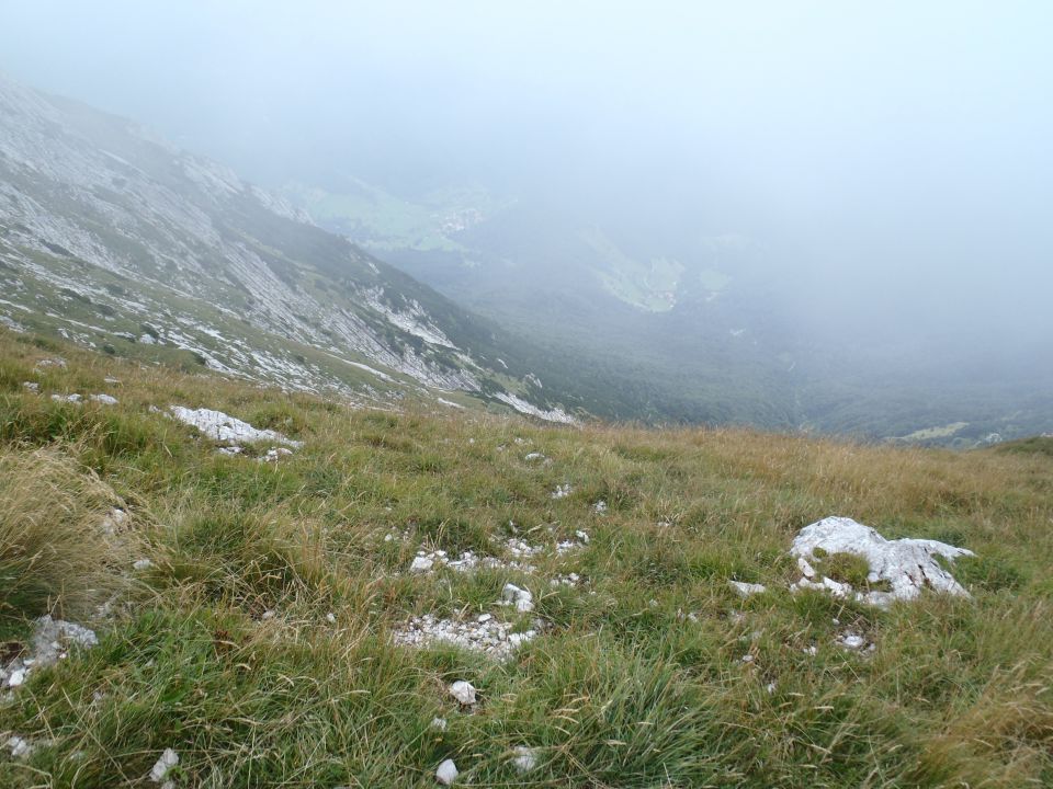 20150821 Rodica od SKI Vogla - foto povečava