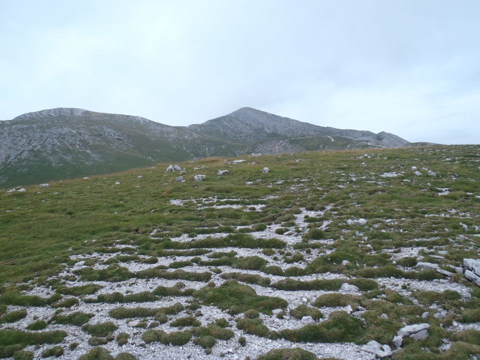 20150821 Rodica od SKI Vogla - foto povečava