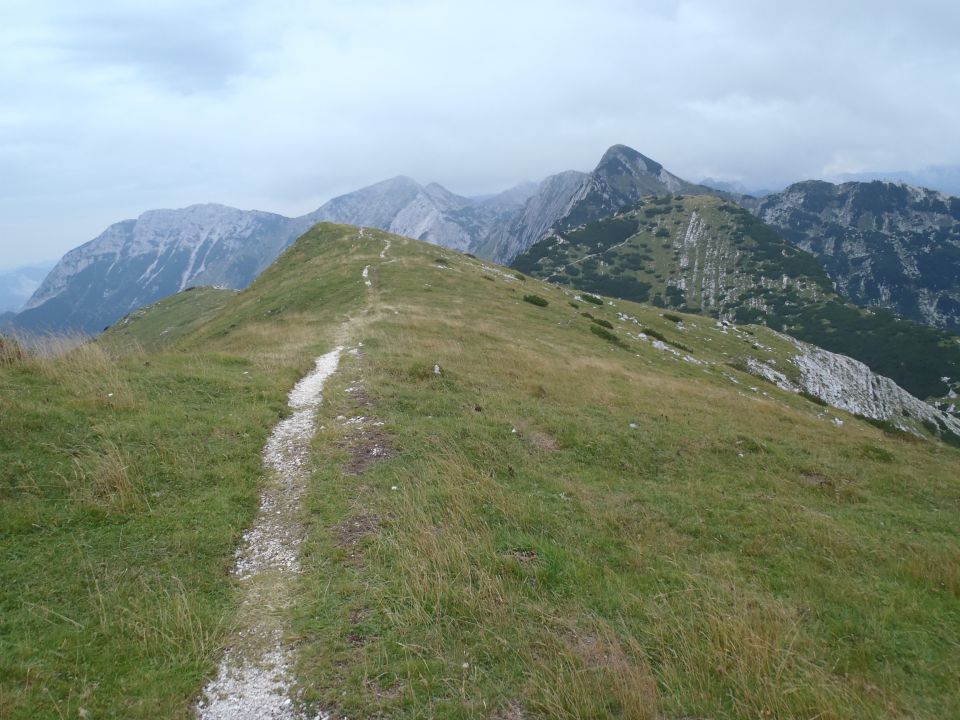 20150821 Rodica od SKI Vogla - foto povečava