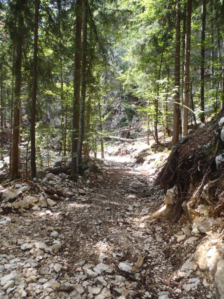 20150822 Srednja vas - Uskovnica - foto povečava