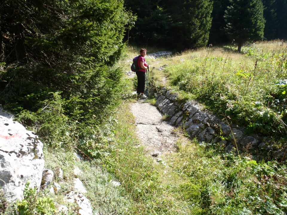 Prihod na planino Za Črno goro.