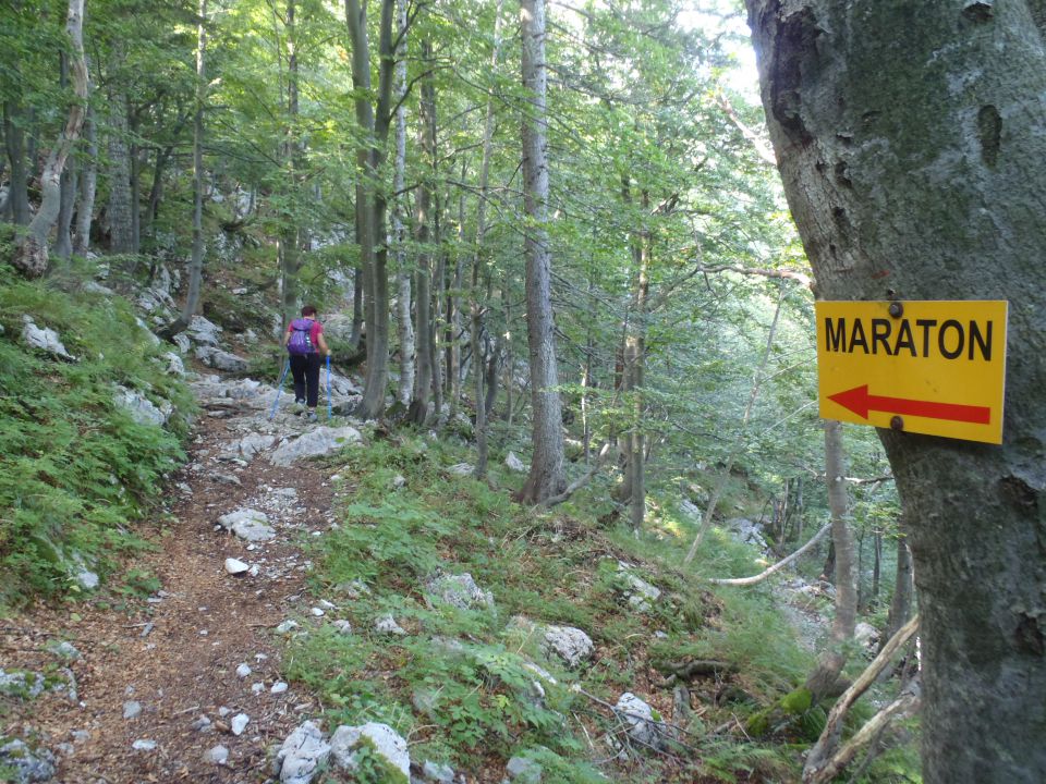 20150823 Črna prst-Pl.Za Črno g.-Č P-Orožnova - foto povečava