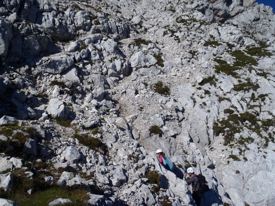 20150830 Šitna glava-Mojstrovke-Travnik-Vršič - foto povečava