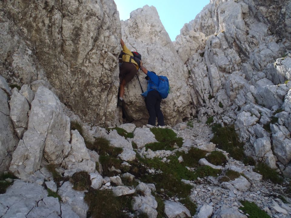 20150830 Šitna glava-Mojstrovke-Travnik-Vršič - foto povečava