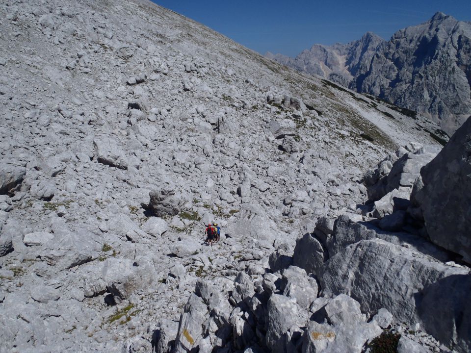 20150830 Šitna glava-Mojstrovke-Travnik-Vršič - foto povečava