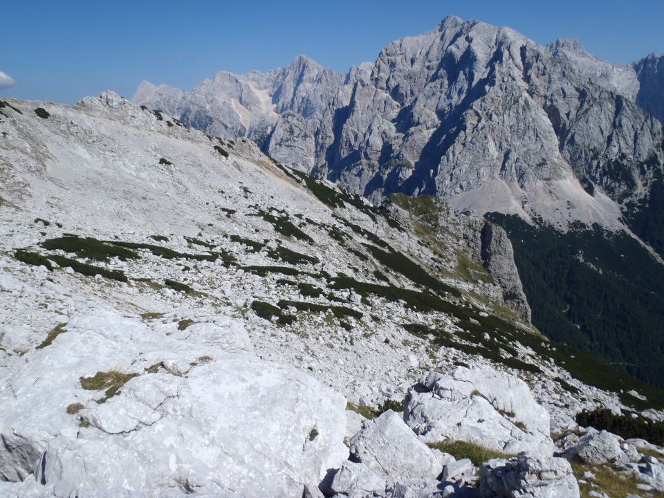 Približevanje markirani poti na M. Mojstrovko, zada Prisojnik.