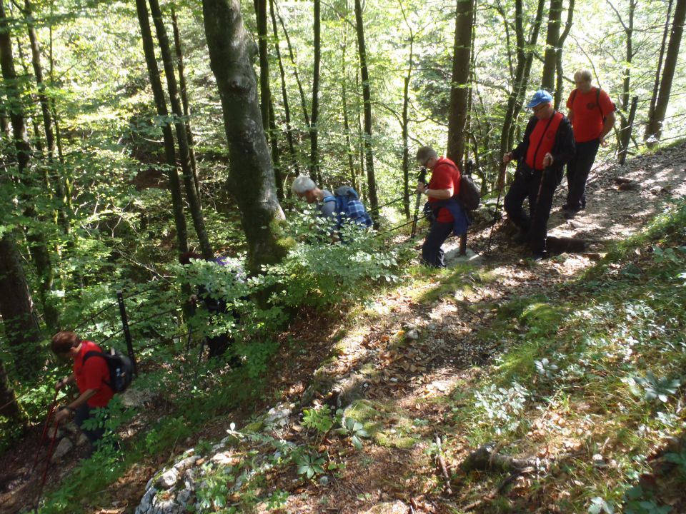 20150912 Korita Mostnice-Voje-Uskovnica - foto povečava