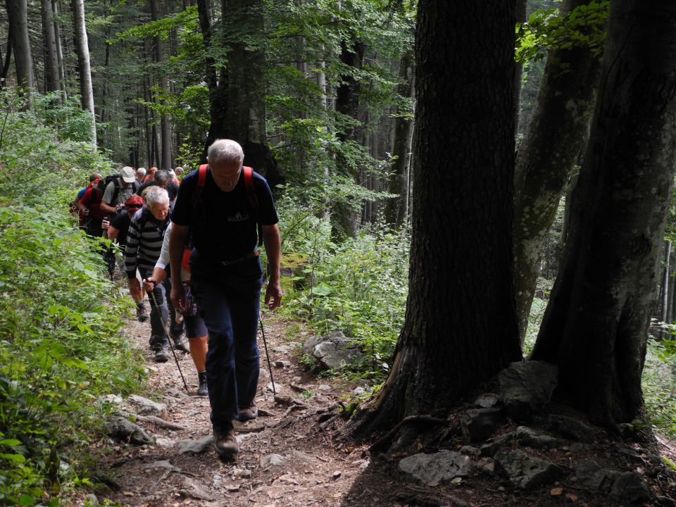 20150913 Kriška gora - foto povečava