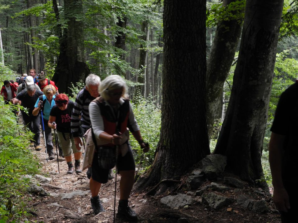 20150913 Kriška gora - foto povečava