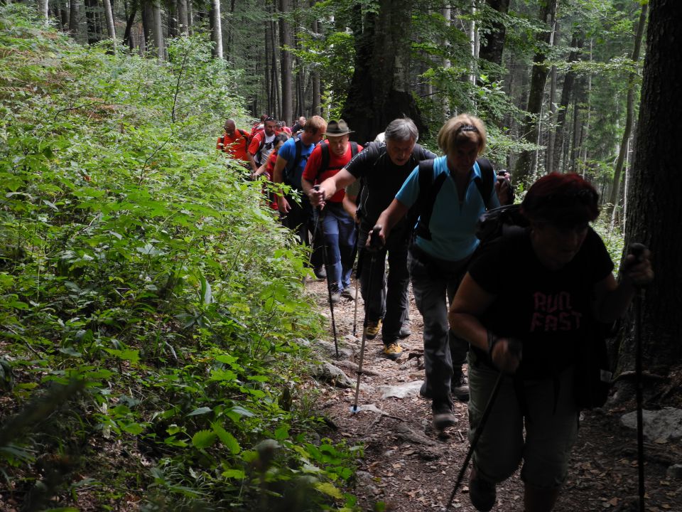 20150913 Kriška gora - foto povečava