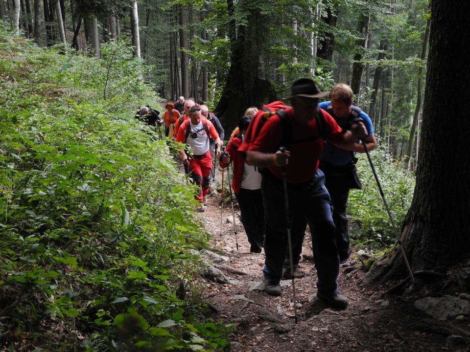 20150913 Kriška gora - foto povečava