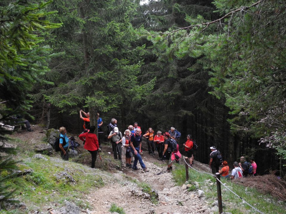 20150913 Kriška gora - foto povečava