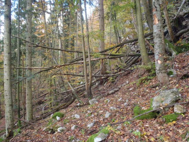 20151018 Jerebikovec in Kupljenik-Babji zob - foto