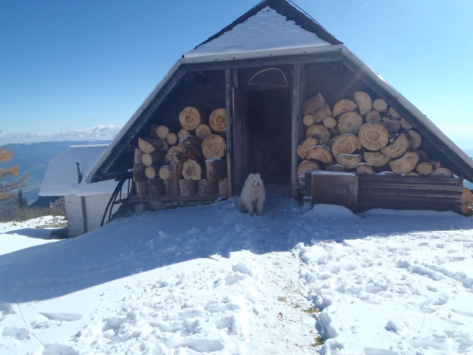 20151021 Uršlja gora - foto povečava
