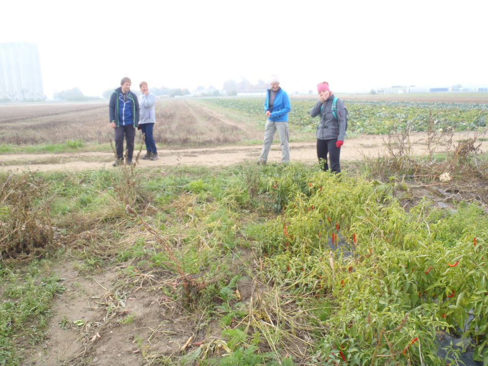 20151025 Lipouvska pout pa brejg - foto povečava