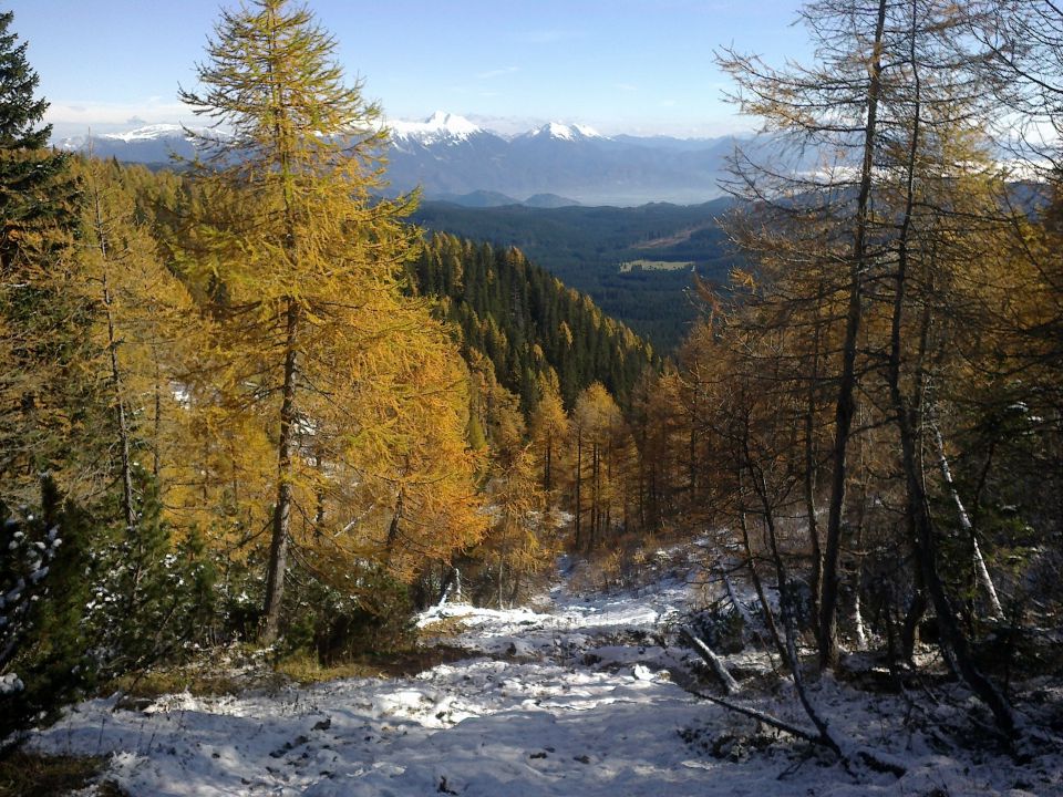 Pogled nazaj na zasneženi del poti in zlate macesne