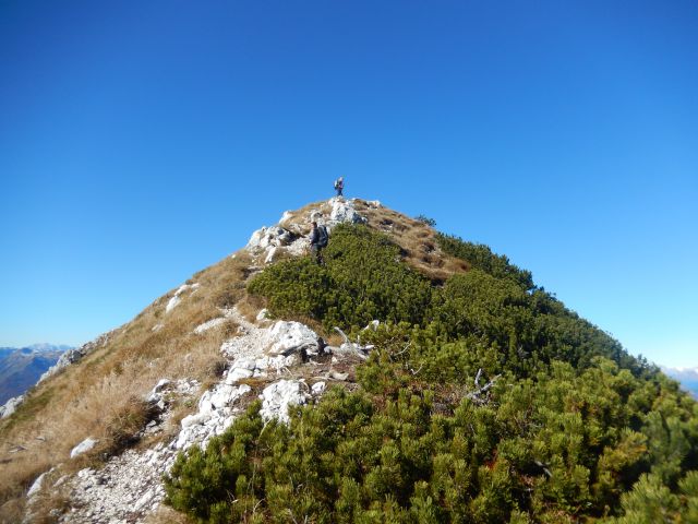 Vršni del poti na Monte Amariano